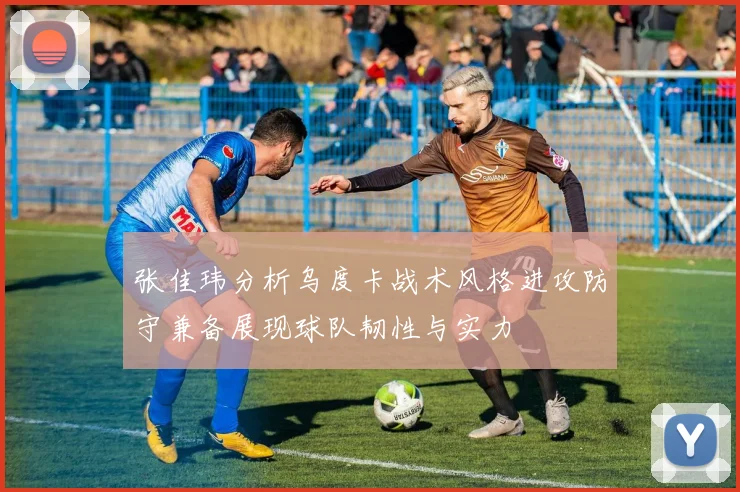 张佳玮分析乌度卡战术风格进攻防守兼备展现球队韧性与实力