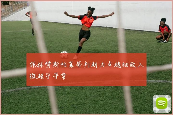 佩林赞斯帕莱蒂判断力卓越细致入微超乎寻常