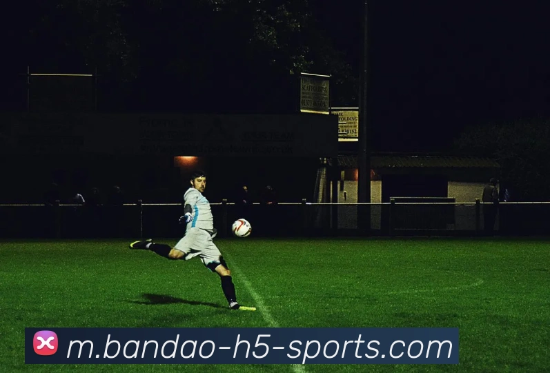 半岛体育平台生态图