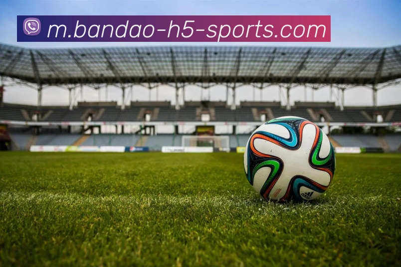半岛体育APP 封面图